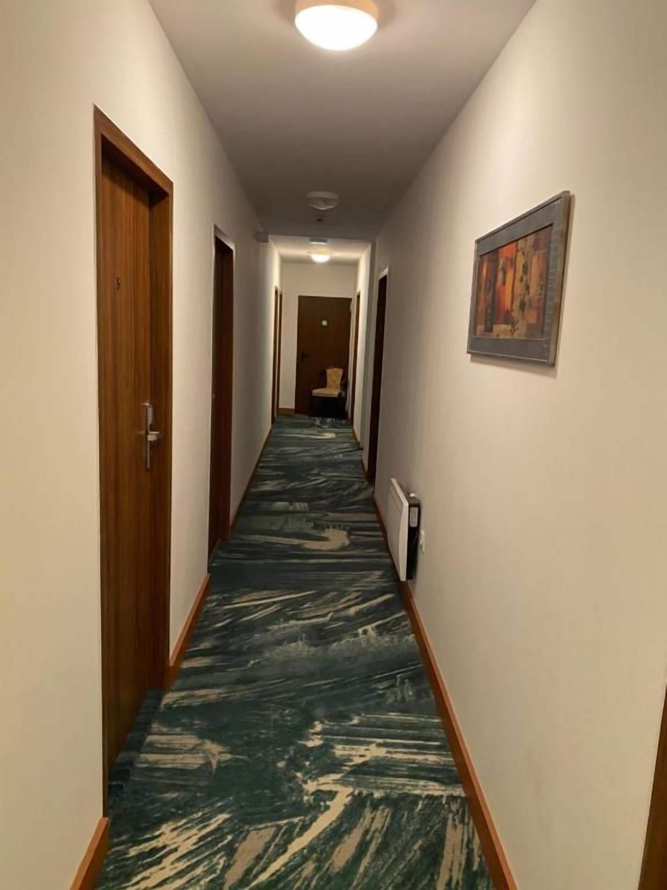 Un pasillo con puertas de madera, un suelo con estampado y un cuadro en la pared.