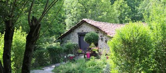 Chalets Bois Moulin de Chaules