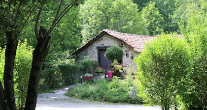Chalets Bois Moulin de Chaules
