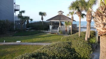 A gazebo with a porch, surrounded by palm trees and a grassy area.