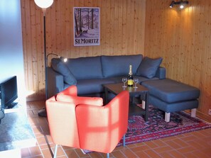 Télévision, cheminée, lecteur de DVD, vidéothèque