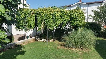 Apartments Discovery