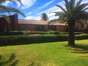 A courtyard with a palm tree, well-maintained hedges, and a building with a tiled roof. - Exceptional location on the port of Porquerolles 20 m from the water ... (PORQUEROLLES)