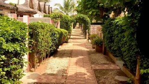A pathway flanked by lush greenery and traditional thatched-roof structures, leading towards a building. - Villa Kadia Paradis 2 (Saly)