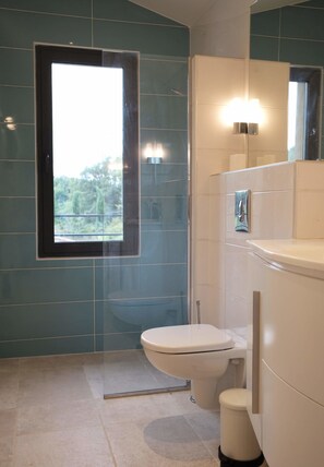 Shower, hair dryer, towels