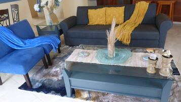 Älytelevisio, kirjoja