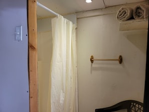 Shower, towels, toilet paper