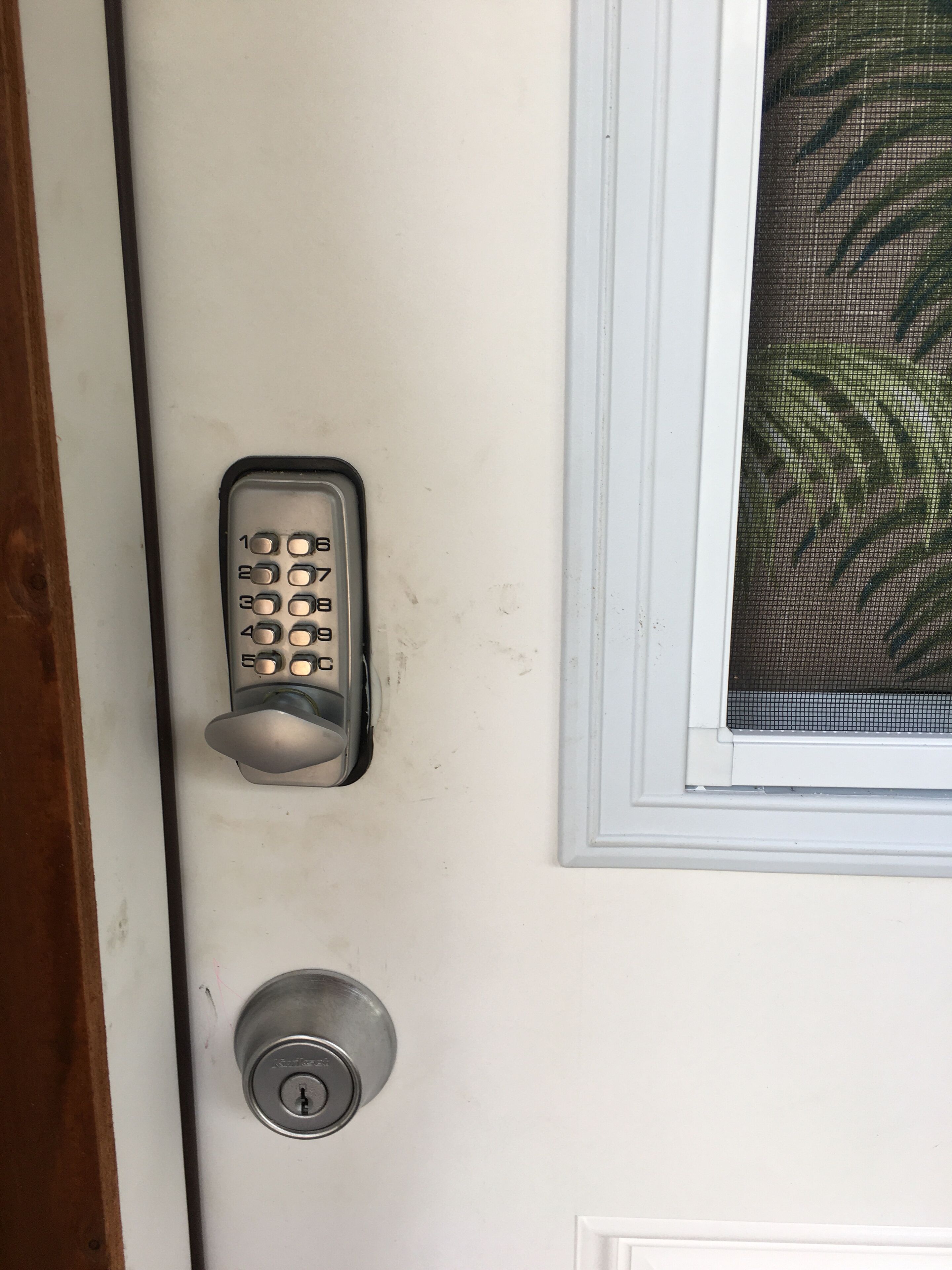 Shower, towels, toilet paper