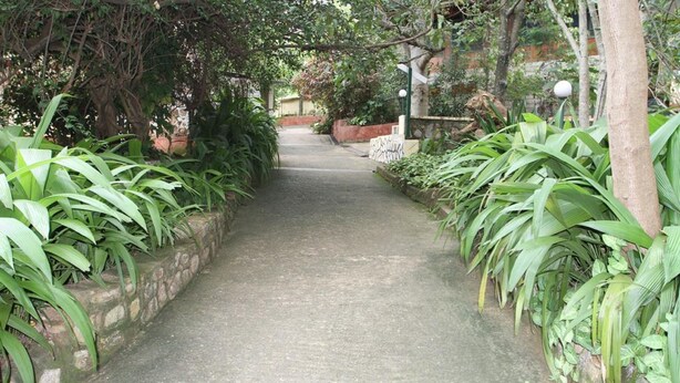 A narrow concrete pathway flanked by lush green foliage and stone walls.