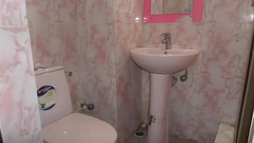 Ducha, toallas, jabón y papel higiénico