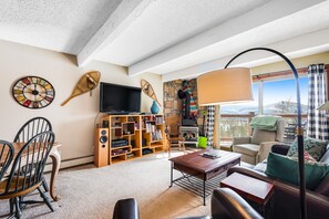 TV, DVD player, books, video library