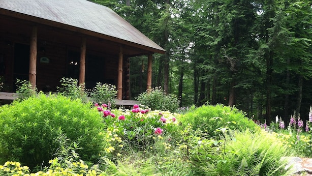 A rustic lodge with a covered porch, surrounded by lush greenery and flowering plants.