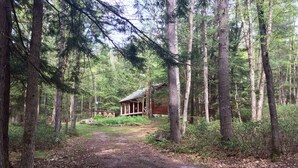 A cabin in a forest with a dirt path leading to it.