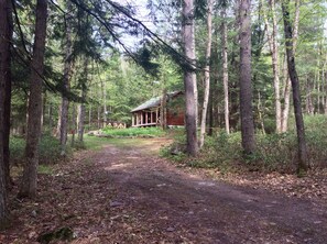 Property grounds - Perry Pond Paradise! (Narrowsburg)
