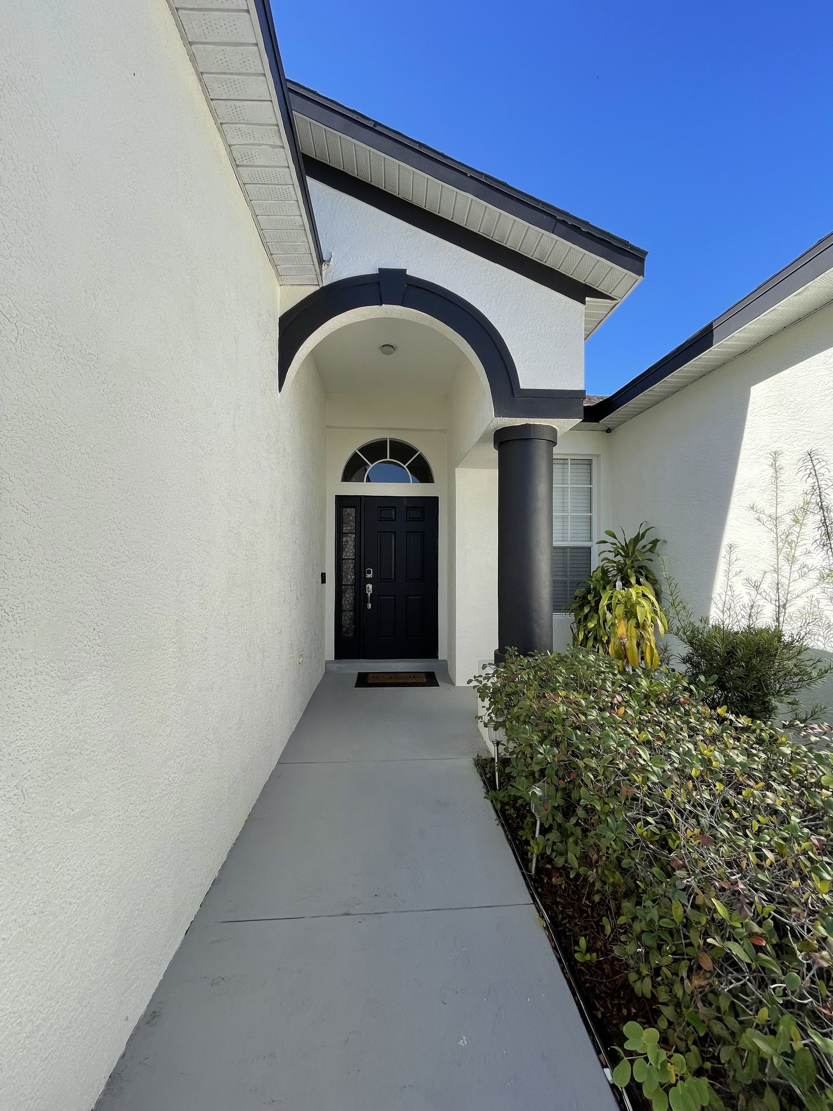 A building entrance with a black door, a concrete pathway, and a small garden area with plants.