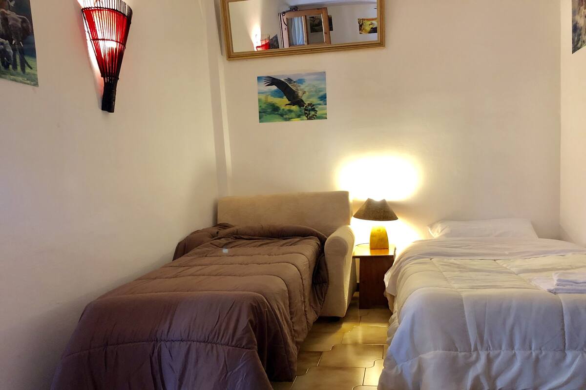 Habitació amb dos llits individuals econòmica, bany compartit | Planxa i posts de planxar, wifi gratuïta i roba de llit 