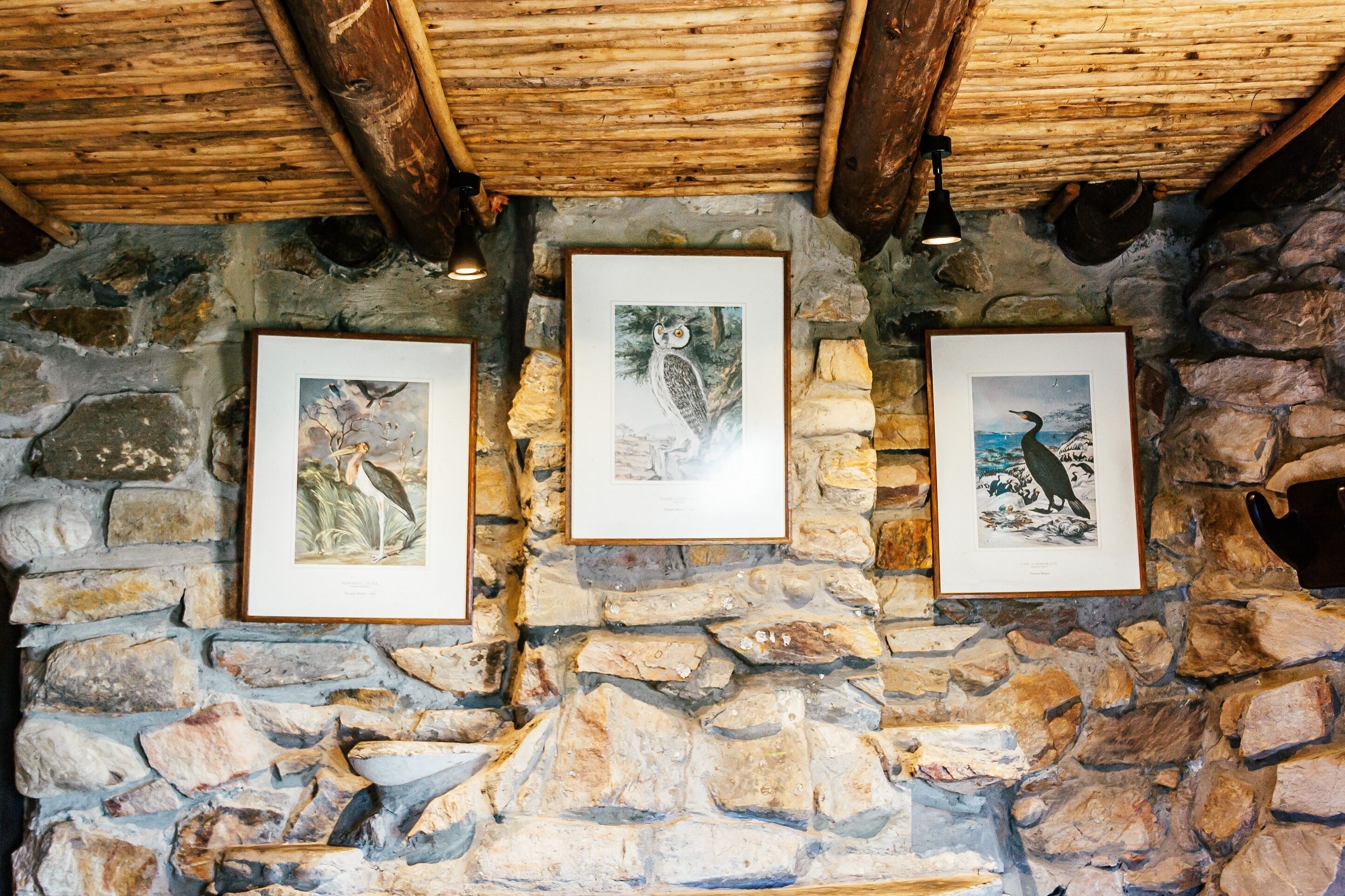 A stone wall with three framed wildlife paintings.