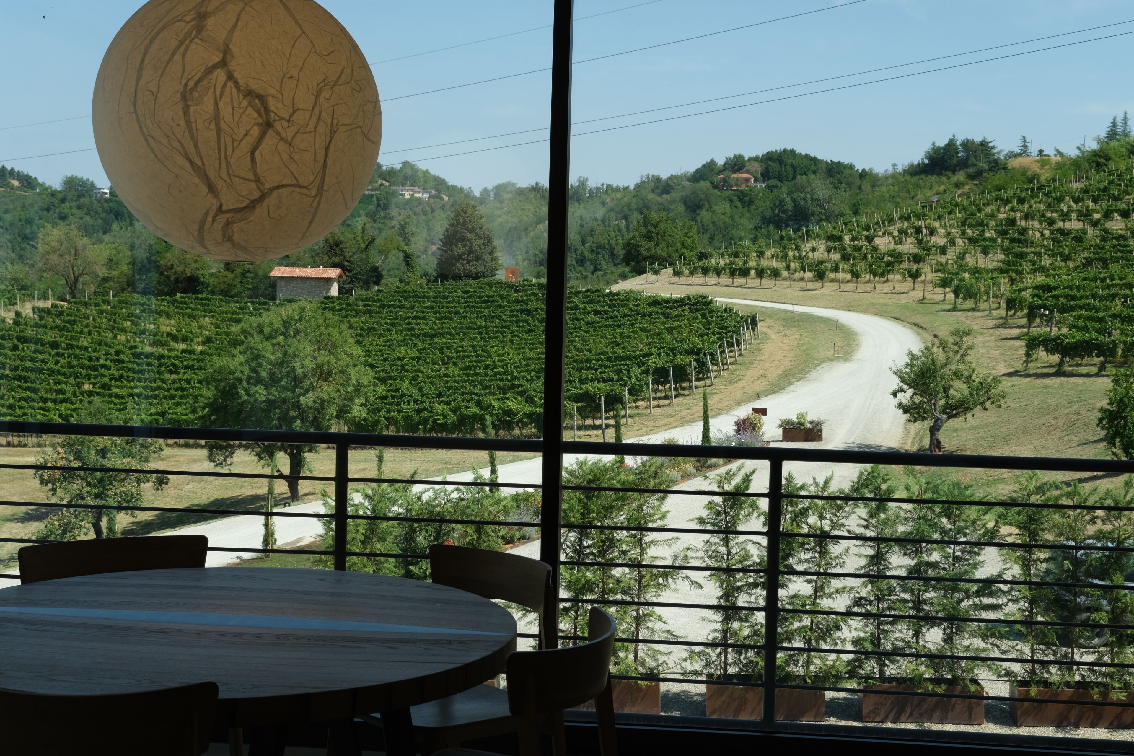 Une vue depuis une pièce dotée d’une grande fenêtre donnant sur un vignoble, un chemin de terre et un petit bâtiment.