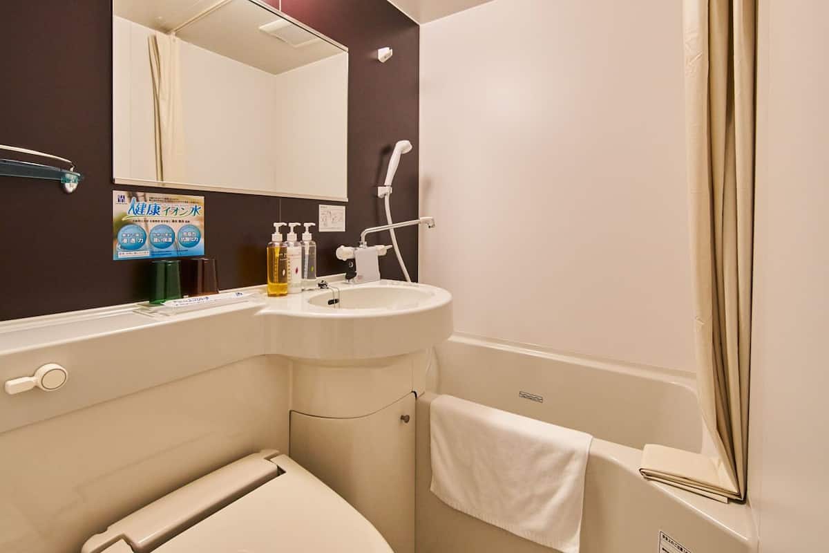 combined shower/bathtub, free toiletries, hair dryer, slippers