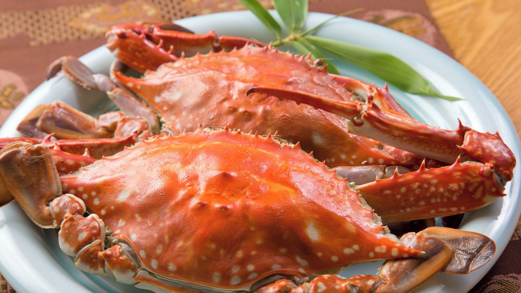 A plate of cooked crabs.