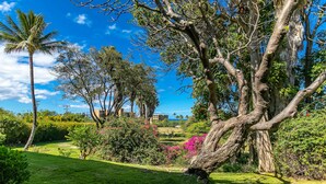 A lush garden with a variety of trees and flowering plants, a well-maintained lawn, and a clear blue sky. - Kihei Wailea Hale across from World Famous Keawakapu Beach! (Kihei)
