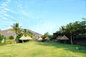 21-inch LED TV with digital channels, TV