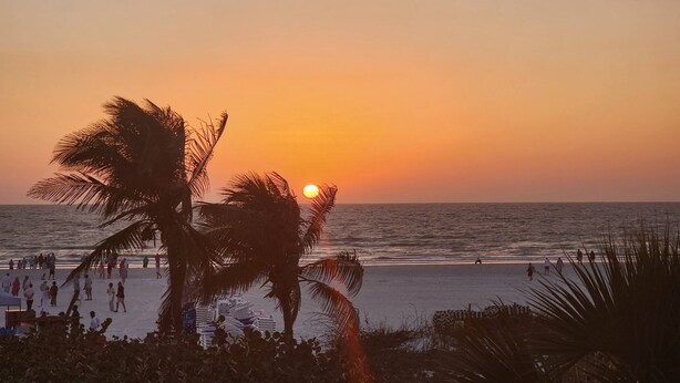 A beach scene with palm trees, a sunset, and people walking along the shore. - 16316 Tortuga (Bokeelia)