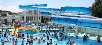 Cocoland Yamaguchi Ube