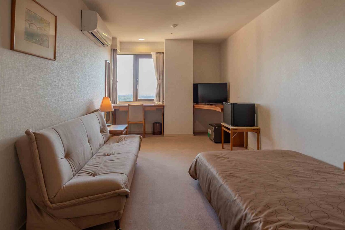 A hotel room with a bed, a sofa, a TV, and a desk.