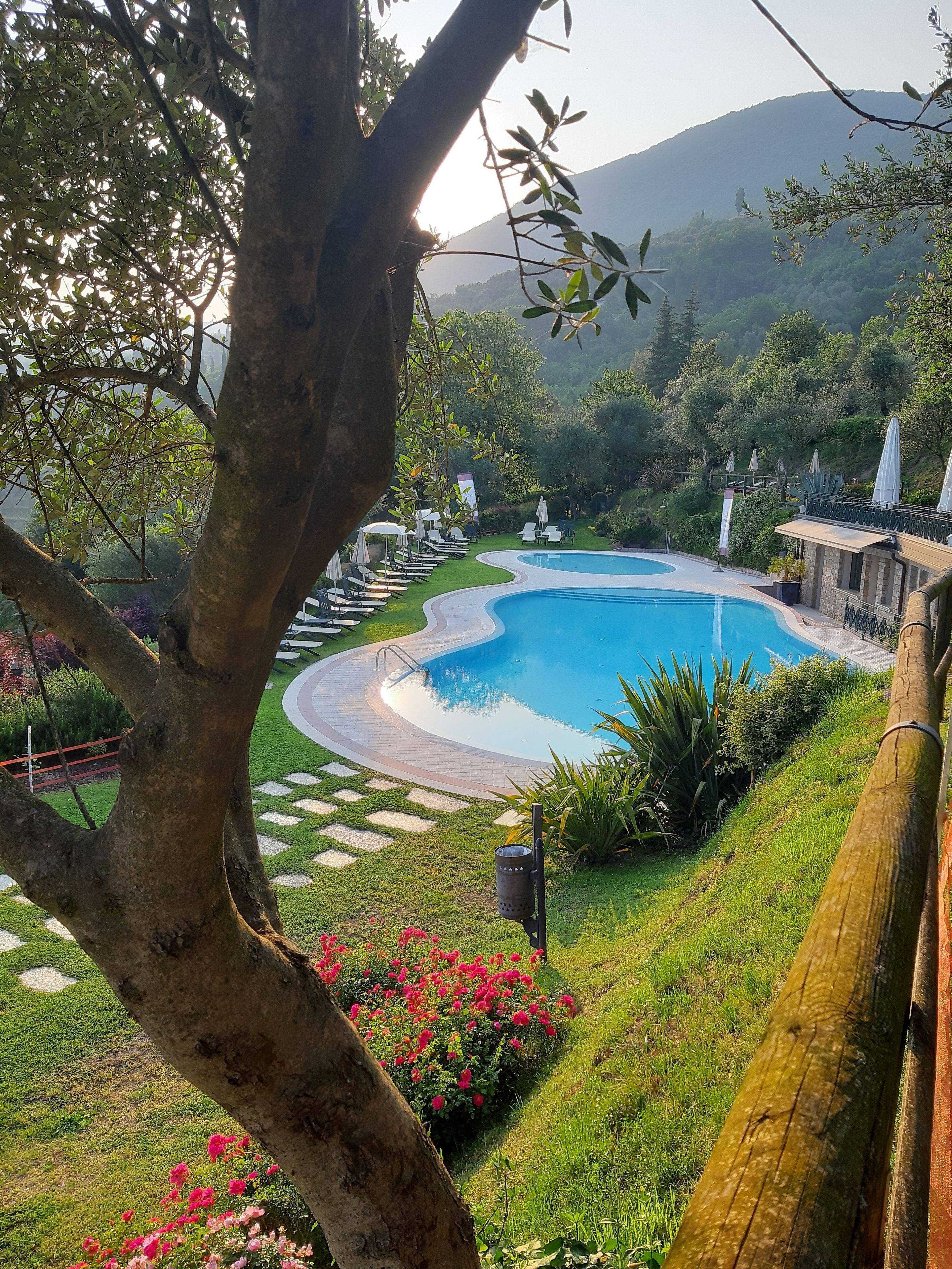 Jardim