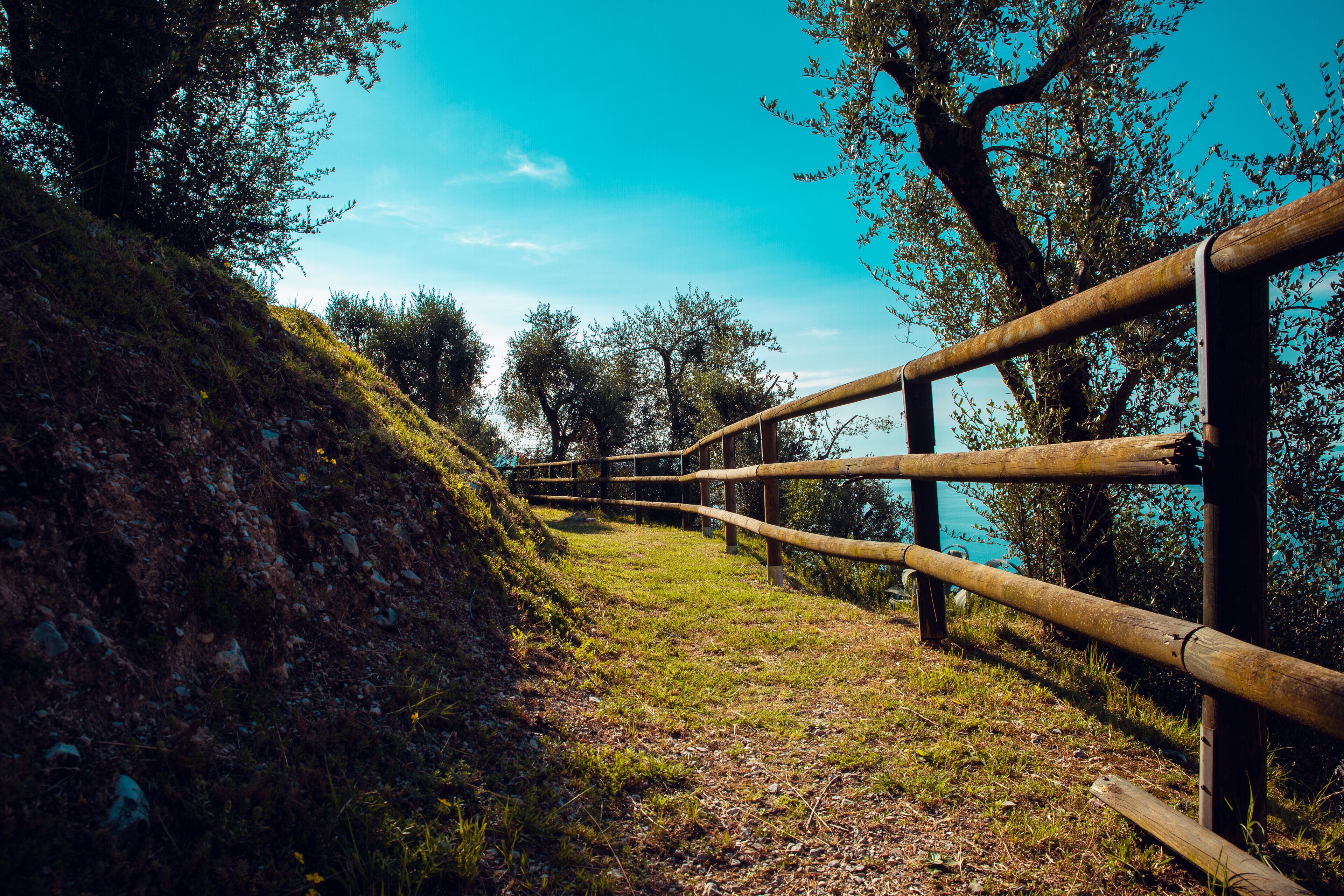 Une clôture en bois longe un sentier bordé d’herbe, avec des arbres en arrière-plan.