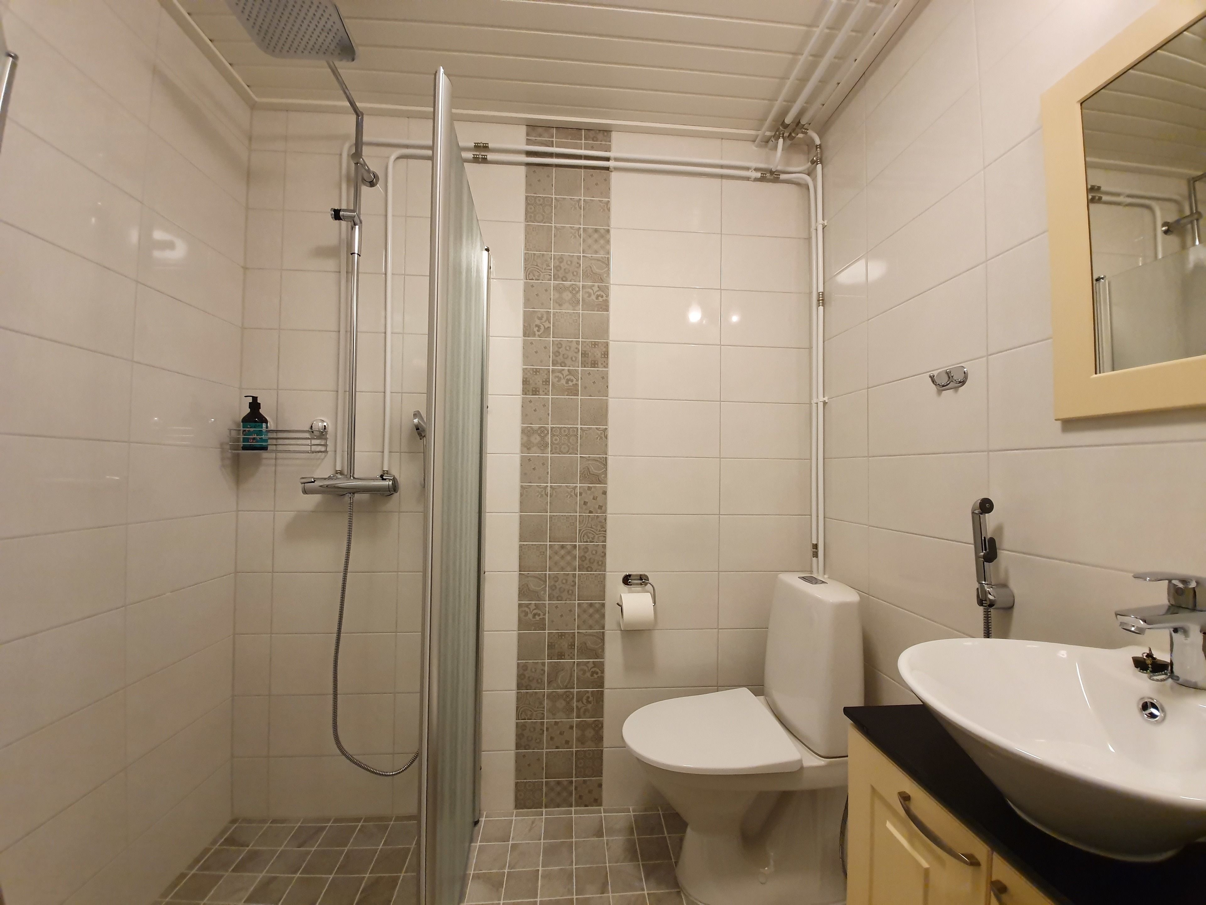 A modern bathroom with a glass-enclosed shower, a toilet, and a sink with a mirror above it.