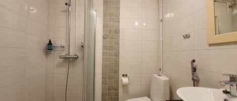 A modern bathroom with a glass-enclosed shower, a toilet, and a sink with a mirror above it.