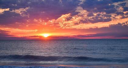 10127 Colonial Country Club Blvd #1607