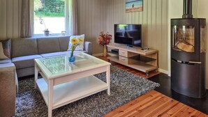 Un salon comprenant un canapé, un téléviseur, une table basse et un poêle à bois.