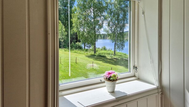 Une fenêtre donnant sur un lac et une végétation luxuriante, un rebord de fenêtre blanc et une plante en pot ornée de fleurs roses.