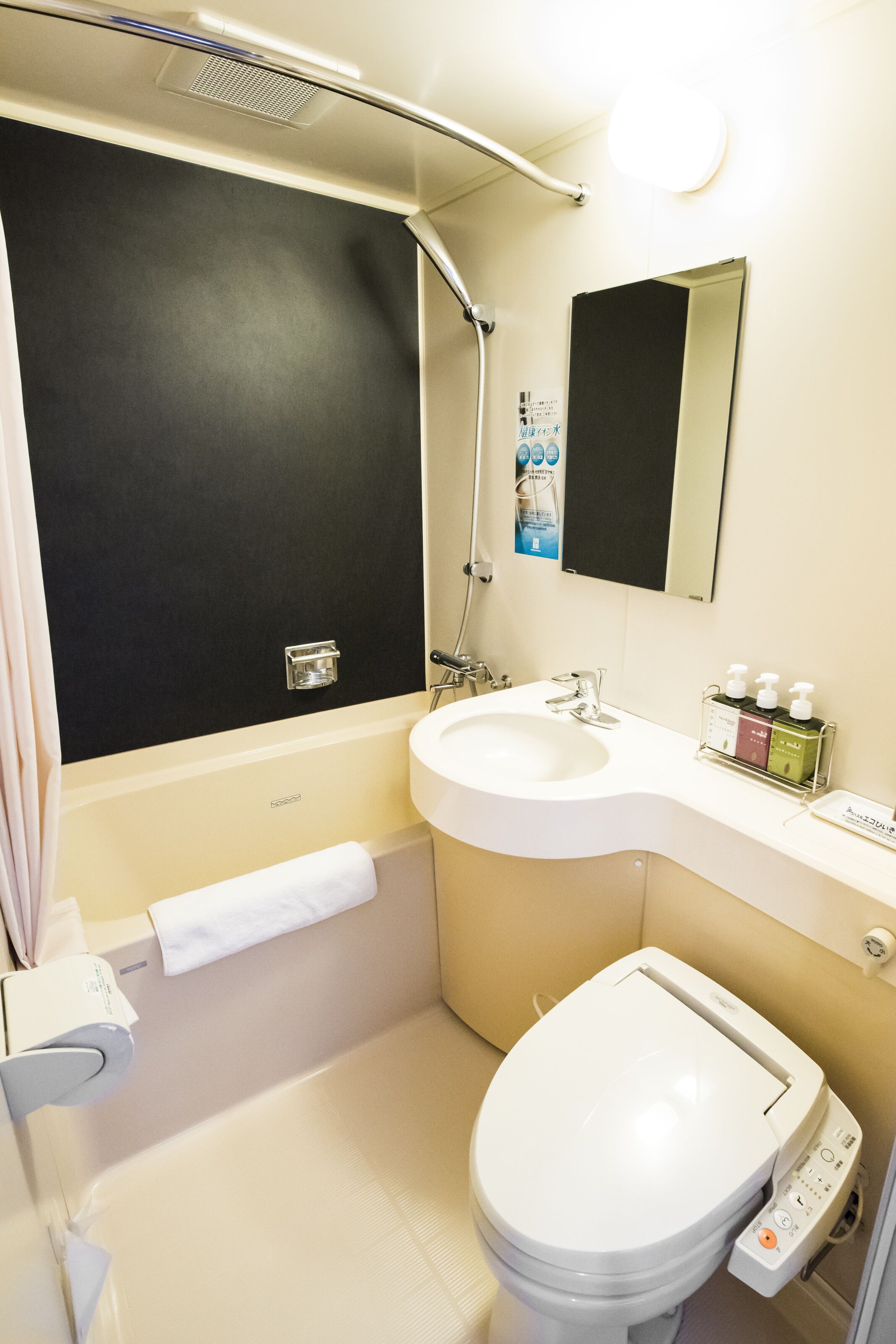 combined shower/bathtub, free toiletries, hair dryer, slippers