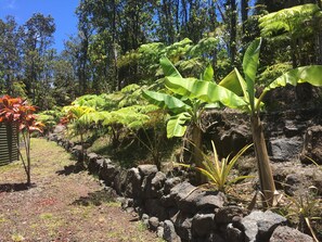 Property grounds - Tranquil private home 5 minutes to Hawai'i Volcanoes National Park (Volcano)