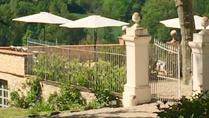 Property grounds - Domaine de perches (Gaillac)
