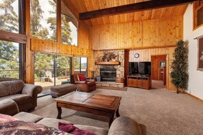 Télévision, cheminée, espaces bureaux