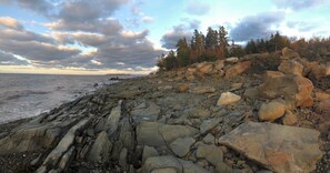 A rocky shoreline with large boulders and trees in the background.