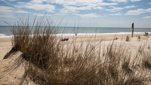 A beach with sand dunes and tall grasses. - The Sand Trap in South Bethany: Steps from the ocean!  Hot Tub! Captain's walk! (Bethany Beach)
