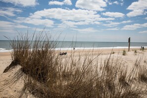 Beach nearby, sun loungers