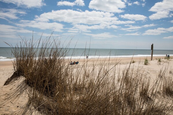 Una playa con dunas de arena y pastos altos.