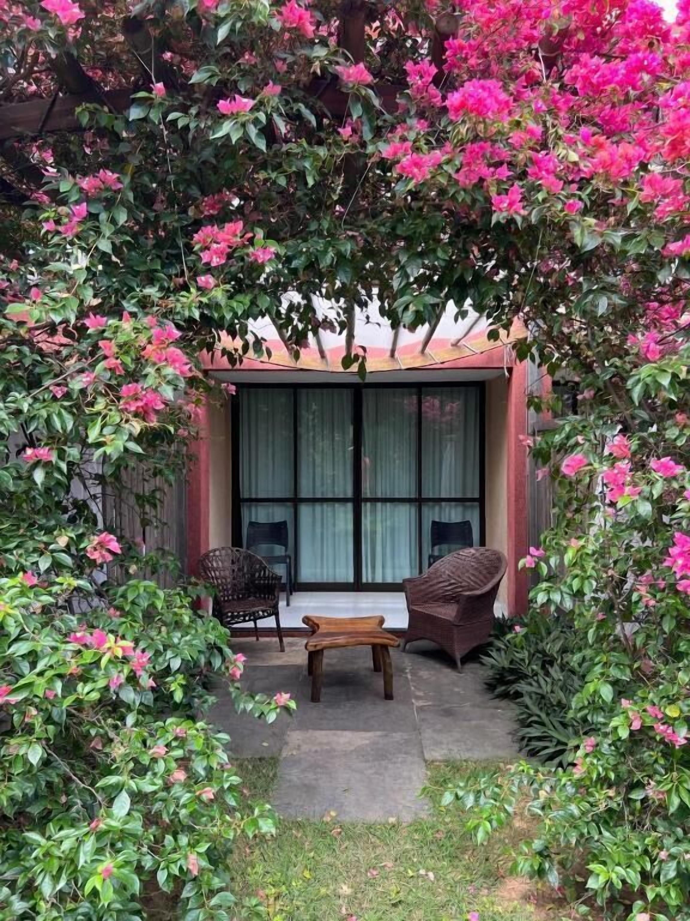 A covered outdoor seating area with a table and chairs, surrounded by lush greenery and flowering plants.