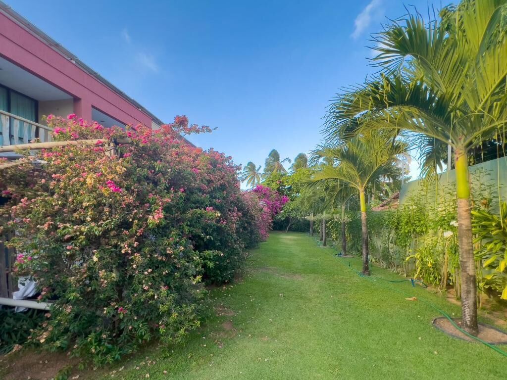 Un jardín bien cuidado con un sendero, palmeras y un edificio con balcón.