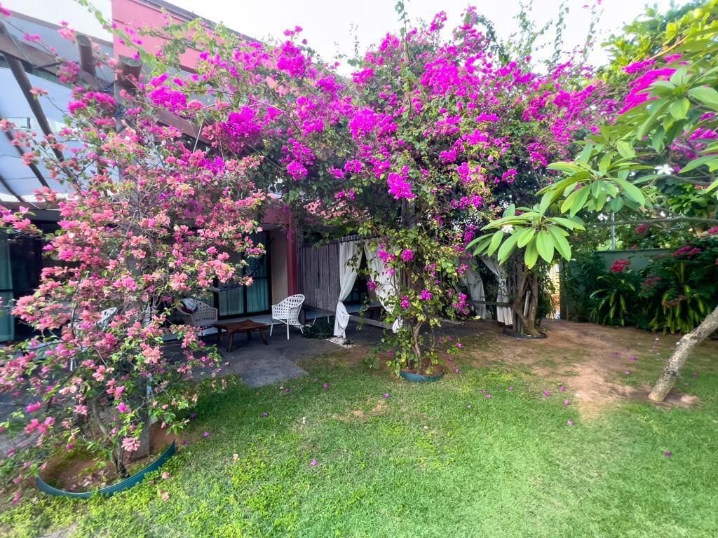 A garden with flowering trees and a patio area.