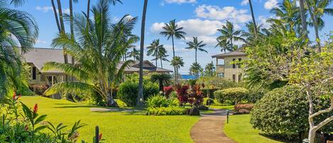 A tropical resort with a well-maintained lawn, palm trees, and a pathway leading to a building with a balcony overlooking the ocean.