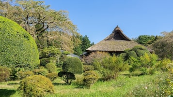 Khuôn viên nơi lưu trú