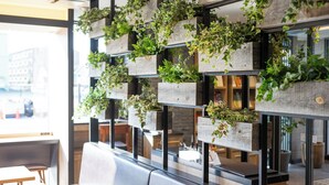 Paredes com vários vasos contendo diferentes plantas verdes.